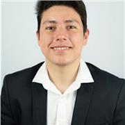 Profesor de matemáticas y economía con experiencia